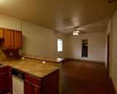 1 Bedroom 1BA 714 ft² House For Rent in Corpus Christi, TX 425 Schatzell St