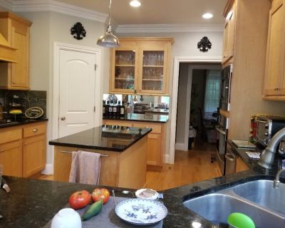 Beautiful home between Lincolnton & Denver.  Wooden setting, large yard/garden, Gourmet kitchen, fireplaces