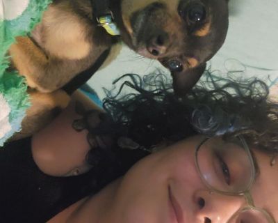 Chloe - Needs an Apartment on iROOMit or a Room