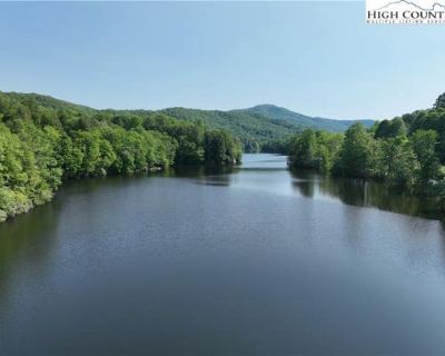 Single Family Home For Sale in ROAN MOUNTAIN, TN