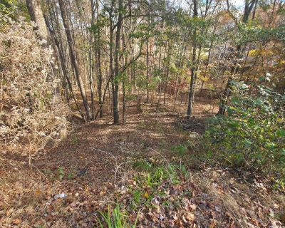 Lots and Land For Sale in Bethlehem, GA