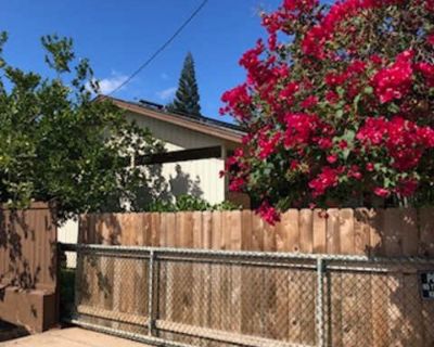 1 Bedroom 1BA 600 ft Pet-Friendly Apartment For Rent in Kihei, HI