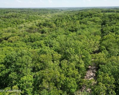 Land For Sale in Jamestown, MO