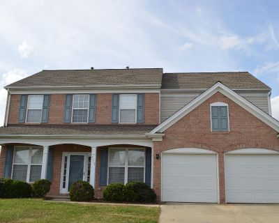 4517 Wayland Ct. Spacious and bright 4 bedroom, 2.5 bathroom house with an office on the main level. The Great Room opens to the Kitchen & Dining area for a great flow when you are home or entertaining family & friends. The Kitchen has lot of cabinet storage and an island in the middle. The Great Room and Kitchen with plenty windows overlook the backyard next to a big and quiet common area to e...