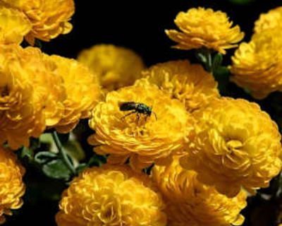 Bri, 24 years, Female. Looking in: Windham, Windham County, CT