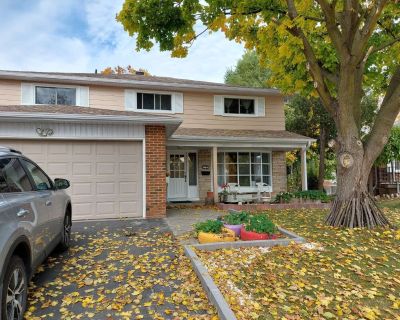 Comfortable one bed room  (Has a House) on iROOMit. Room in the 1 Bedroom...