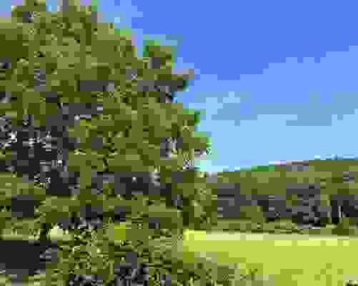 Land For Sale in COTTER, AR