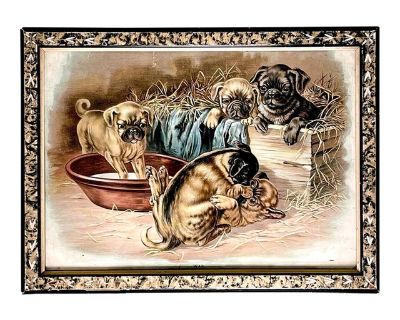 Five Playful Pugs Getting Into Mischief, Lithograph by J. Ottman Dated 1894, Framed