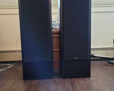 2 Powerful Speakers