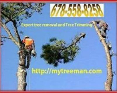 Specialized in dangerous trees, dead trees, fallen trees, tree branches tree service