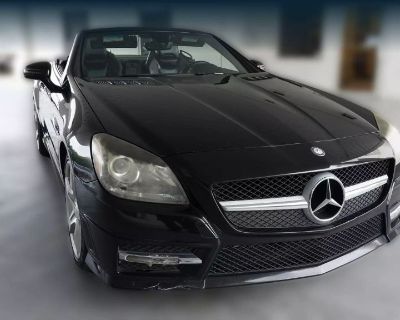 2013 Mercedes-Benz SLK-Class SLK 350 Roadster 2D