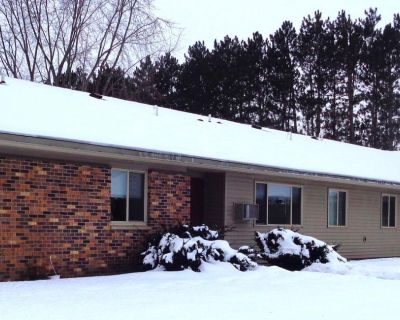 1 Bedroom 1BA 550 ft Pet-Friendly Apartment For Rent in Harris, MN