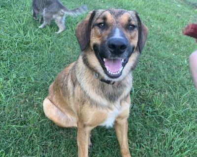 "Courtesy Post" This is not a Street Paws animal but we are assisting a family with placing their pet. Meet Pepper - Your Loyal Ranch Sweetheart! Howdy! I'm Pepper, the biggest (and maybe the most loyal!) pup from a litter of 13. I was born and raised on a small cattle ranch surrounded by kids, calves, cats, chickens, ducks, geese - even a donkey! And guess what? I'm friends with them all. I'm ...