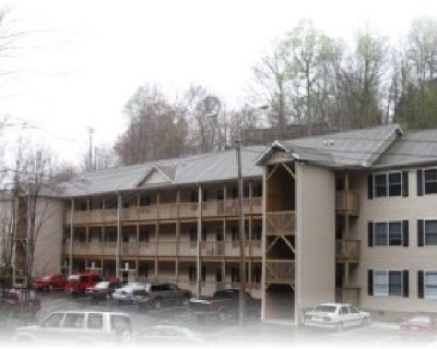 Spring Sublease The Timbers $500/mo