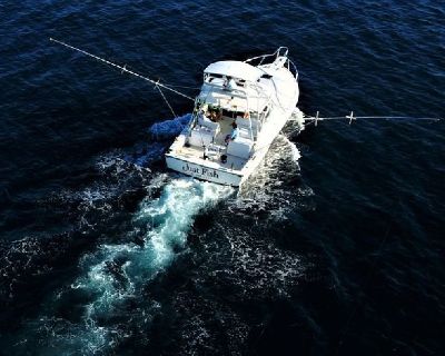 Fishing Charters St. John and St. Thomas