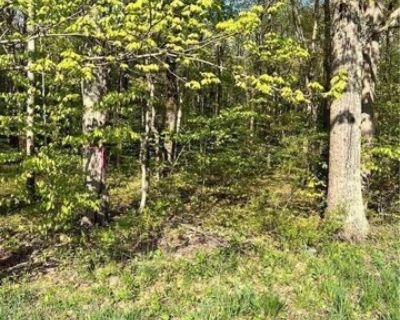 Birch Dr, Tunkhannock, Plot For Sale