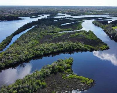 Land For Sale in PARRISH, FL