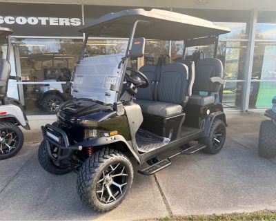 2025 Denago EV Rover XL Electric Golf Carts Richmond, VA