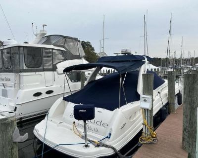 Sea Ray 340 Sundancer