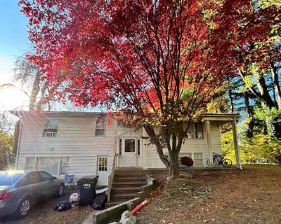 7 Bedroom 2BA 2350 ft Pet-Friendly Apartment For Rent in South Amherst, MA