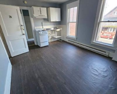 1 Bedroom 1BA 0 ft Pet-Friendly Apartment For Rent in Erie, PA