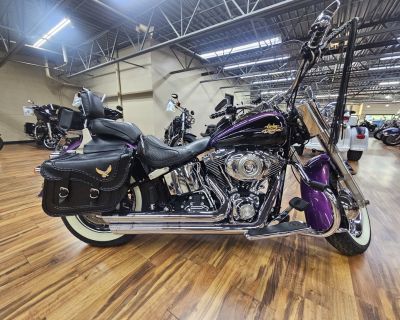 2011 Harley-Davidson FLSTN
