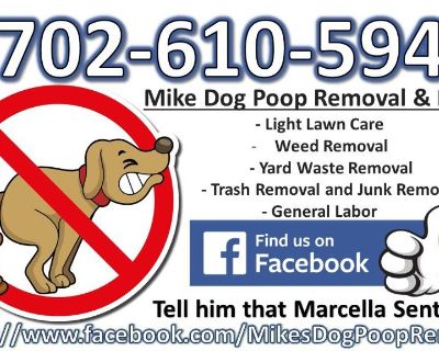🐶 💩 Dog Poop Removal & or Trash Removal 🗑️🚚 + More