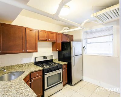 2 Bedroom 1BA 700 ft Pet-Friendly Apartment For Rent in Chicago, IL