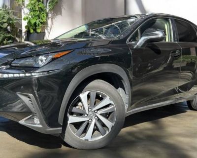 Used 2019 Lexus NX 300h