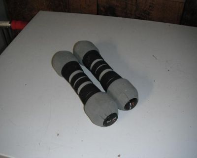 A set of 2 Pound Weights