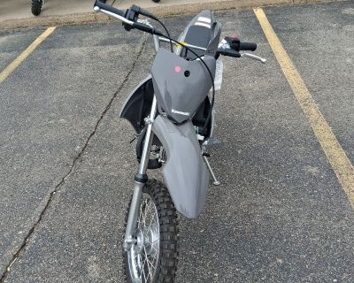 2025 Kawasaki KLX 110R L Motorcycle Off Road New Hudson, MI