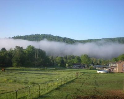 150 Robinson Street. image_url. Dogs allowed Parking Furnished Unit Amenities furnished Property Amenities dogs allowed pet friendly parking. Pets allowed. 2 Bedroom. 1 Bathroom. 1500 ft . Furnished