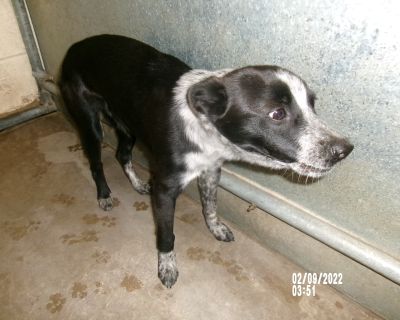 Health Vaccinations up to date.. Young Male Small