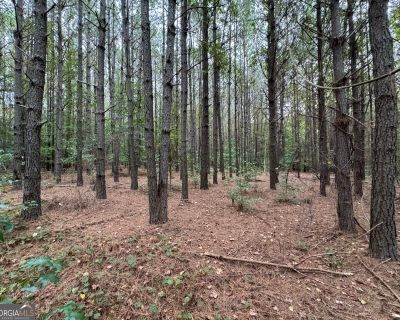 1 Bedroom Vacant Lot For Sale in Jefferson, GA