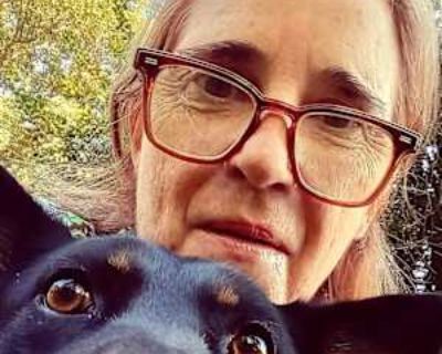 LGBTQ+ friendly * Non-smoker * Has a dog * Interested in teaming-up. Budget: $1,200 per month. Ready to move: now. Seeking a 12 months stay. Looking for myself. Hi, I m a 56-year-old published writer and a mail carrier with the Waltham Post Office. I am moving to the area from Northern Virginia, and am seeking either a short-term lease while I get started at my job, and get my bearings, or a lo...