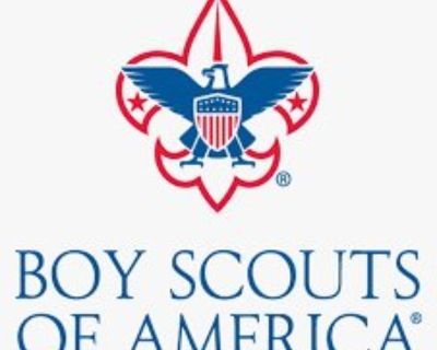 Boy Scout Patches, Badges & Collectables