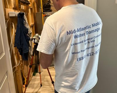 Indoor Air Quality And Mold Testing