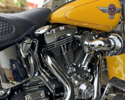 2006 Harley-Davidson FLSTFI FAT BOY