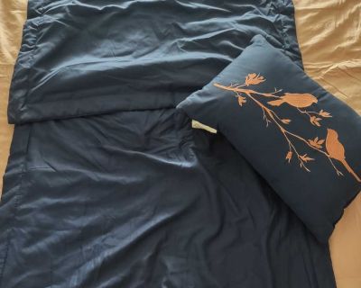 2 new Navy pillow covers and a throw pillow