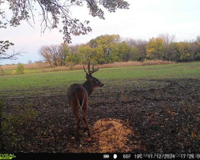 Land For Sale in SOUTH HAVEN, KS
