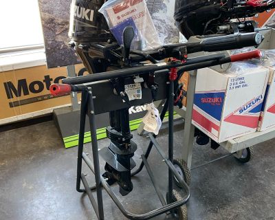 Suzuki Marine DF20AS Electric Outboards Portable Ponderay, ID