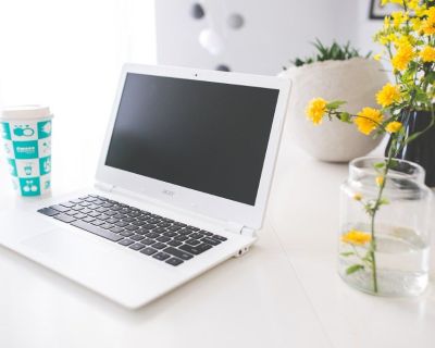 Online Catalog Company Positions