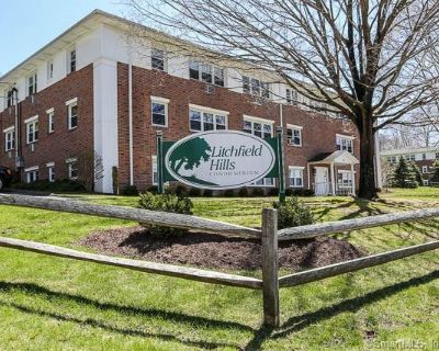 1 Bedroom 1BA 700 ft Apartment For Rent in New Milford, CT