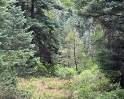 Land For Sale in CHAMA, NM