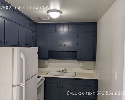 1 Bedroom 1BA 550 ft Apartment For Rent in Roanoke, VA