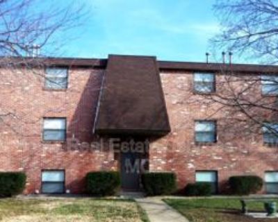2 Bedroom 1BA 900 ft Furnished Apartment For Rent in Springfield, MO