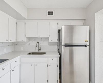 Brazilia Dr Apt,clearwater, Condo For Rent