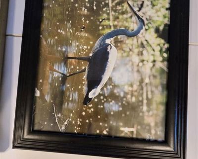 Black Picture Frame #2 - 11"x14"