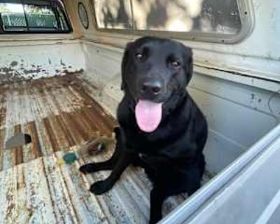 Budget: $1,500 per month. Ready to move: now. Looking for myself. Curious what this app is about not actually looking for myself but for my friends