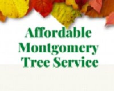 Affordable Montgomery Tree Service